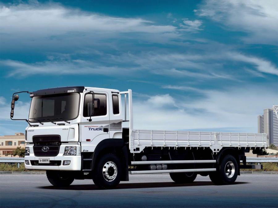  Hyundai New Power Truck Gold 2004 года  (фото 1 из 1)